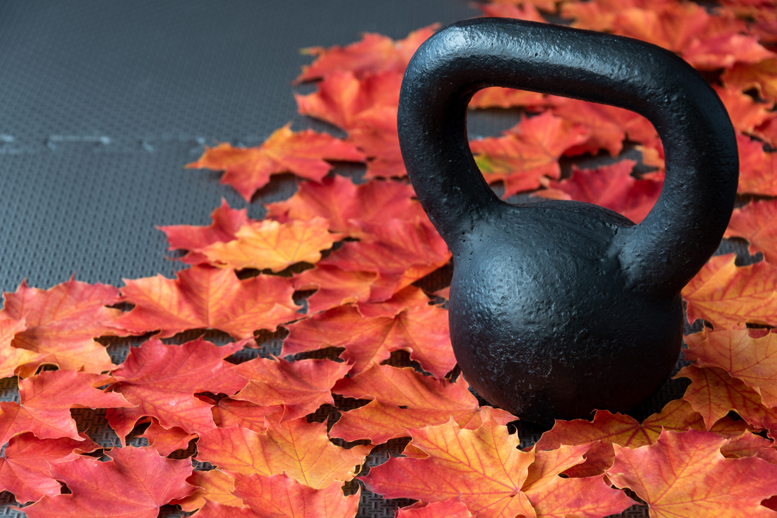 Fall Into Fitness: How to Start Fresh This Season